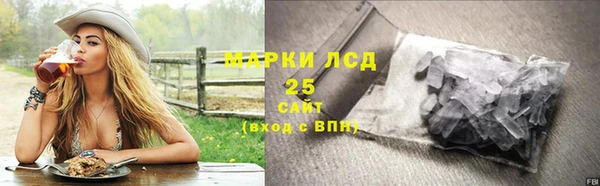 мдпв Вяземский