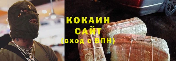 гашик Горно-Алтайск