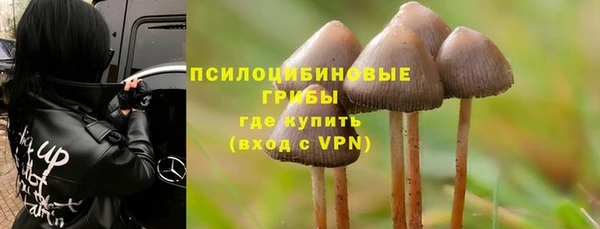 мдпв Вяземский