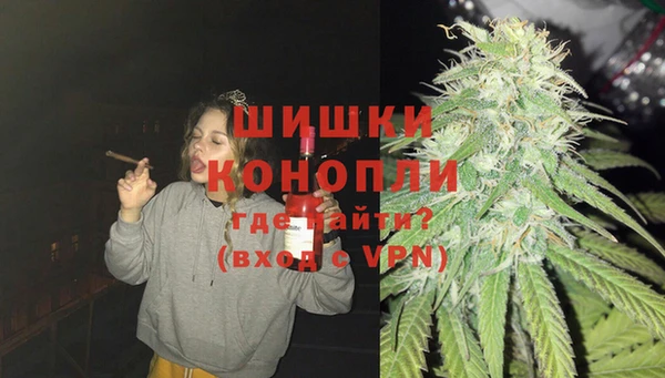 мдпв Вяземский