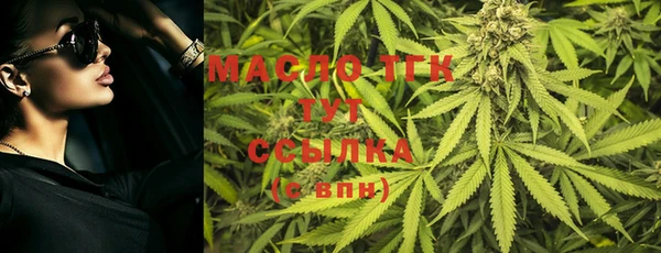 мдпв Вяземский