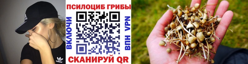 хочу   площадка телеграм  Галлюциногенные грибы Magic Shrooms  Грязи 
