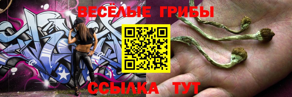 Галлюциногенные грибы Cubensis Грязи