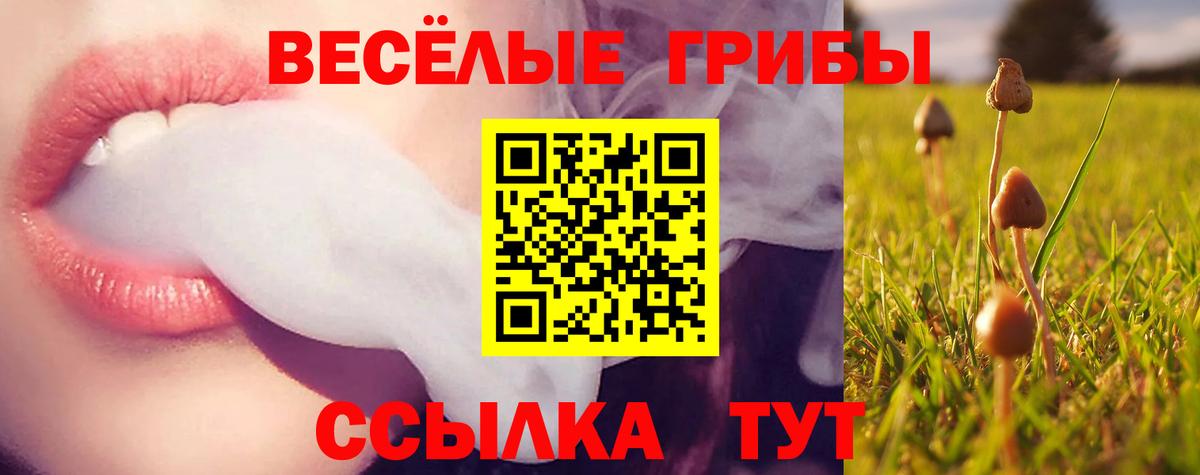Галлюциногенные грибы ЛСД  Псилоцибиновые грибы прущие грибы  Грязи  Вход с VPN 